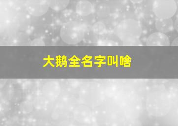 大鹅全名字叫啥