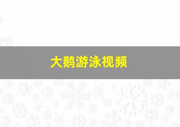 大鹅游泳视频