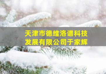 天津市德维洛谱科技发展有限公司于家辉