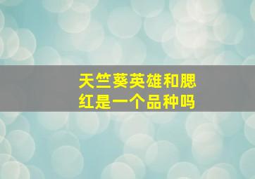 天竺葵英雄和腮红是一个品种吗