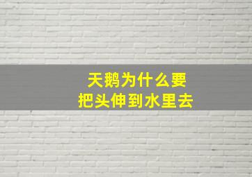 天鹅为什么要把头伸到水里去