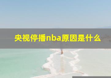 央视停播nba原因是什么