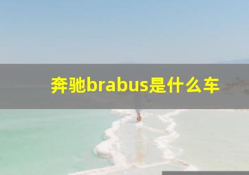 奔驰brabus是什么车