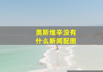 奥斯维辛没有什么新闻配图