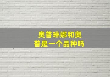 奥普琳娜和奥普是一个品种吗