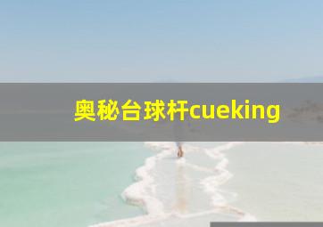 奥秘台球杆cueking