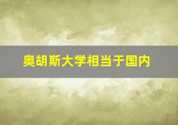 奥胡斯大学相当于国内