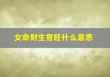 女命财生官旺什么意思