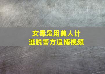 女毒枭用美人计逃脱警方追捕视频