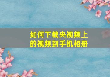 如何下载央视频上的视频到手机相册