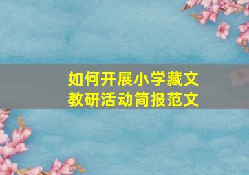 如何开展小学藏文教研活动简报范文