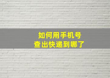 如何用手机号查出快递到哪了