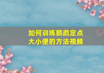 如何训练鹦鹉定点大小便的方法视频