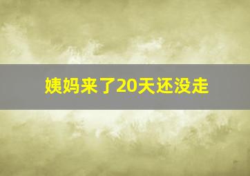 姨妈来了20天还没走