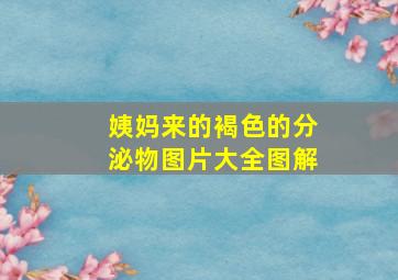 姨妈来的褐色的分泌物图片大全图解