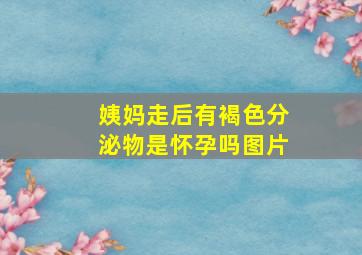 姨妈走后有褐色分泌物是怀孕吗图片