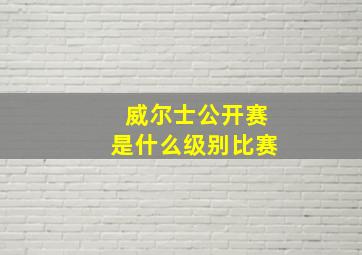 威尔士公开赛是什么级别比赛