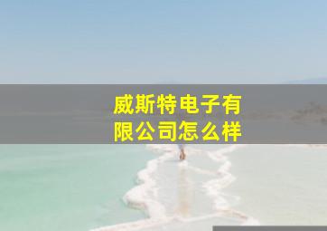 威斯特电子有限公司怎么样