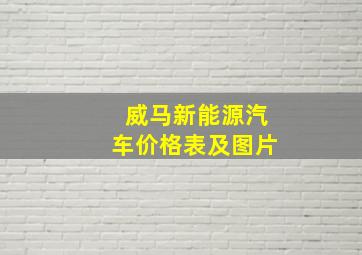 威马新能源汽车价格表及图片