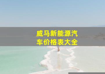 威马新能源汽车价格表大全