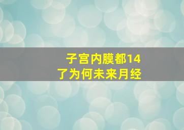 子宫内膜都14了为何未来月经