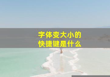 字体变大小的快捷键是什么