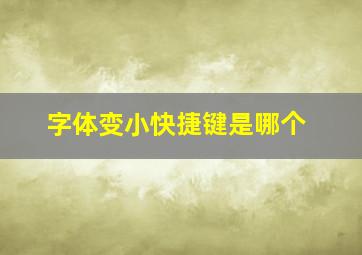 字体变小快捷键是哪个