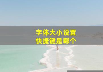 字体大小设置快捷键是哪个