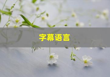 字幕语言