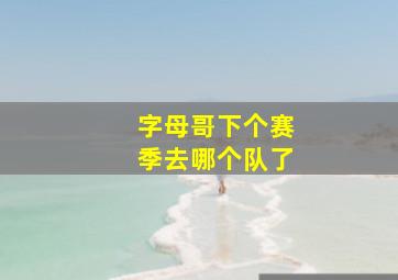 字母哥下个赛季去哪个队了