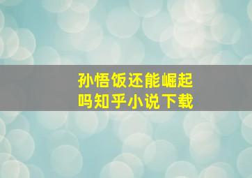 孙悟饭还能崛起吗知乎小说下载