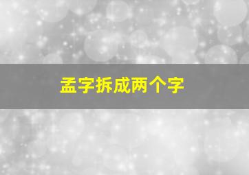 孟字拆成两个字