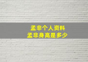 孟非个人资料孟非身高是多少