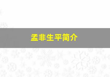 孟非生平简介