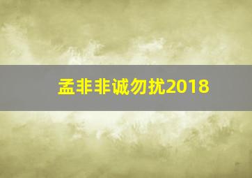 孟非非诚勿扰2018