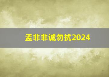 孟非非诚勿扰2024