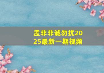 孟非非诚勿扰2025最新一期视频