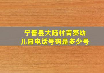 宁晋县大陆村青葵幼儿园电话号码是多少号