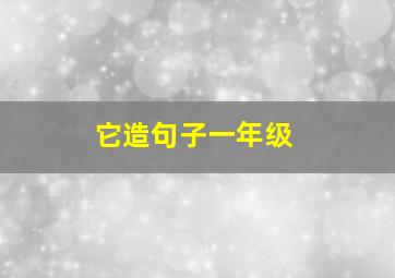 它造句子一年级