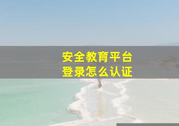 安全教育平台登录怎么认证