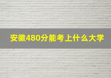 安徽480分能考上什么大学