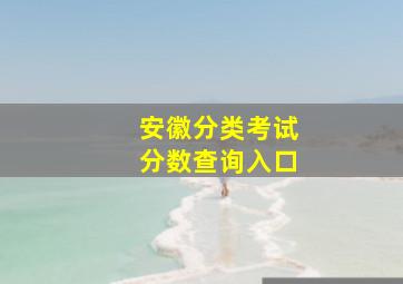 安徽分类考试分数查询入口