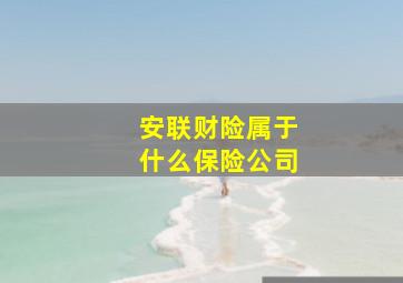 安联财险属于什么保险公司