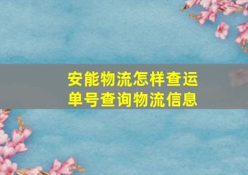 安能物流怎样查运单号查询物流信息