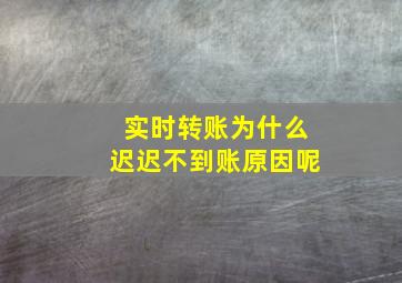 实时转账为什么迟迟不到账原因呢