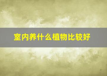 室内养什么植物比较好