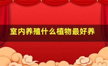 室内养殖什么植物最好养