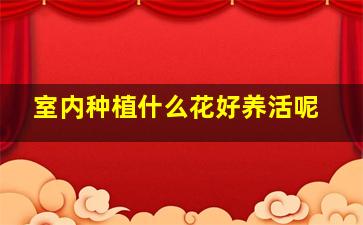 室内种植什么花好养活呢