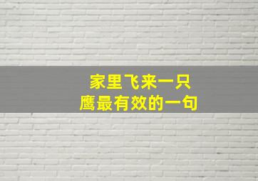 家里飞来一只鹰最有效的一句