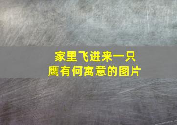 家里飞进来一只鹰有何寓意的图片